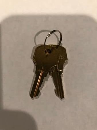 2 New Simplex B/cat 30 Style Key For Fire Alarm Panel And Pull Stations
