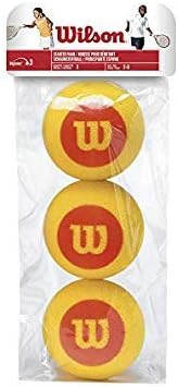 WILSON Starter Tennis Balls