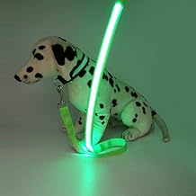 Pet Glow Rope, Glow Multi-Function Buckle Dog Leash, Strap Rope, Pet Belt Light Up in Dark - Green, 1PCS