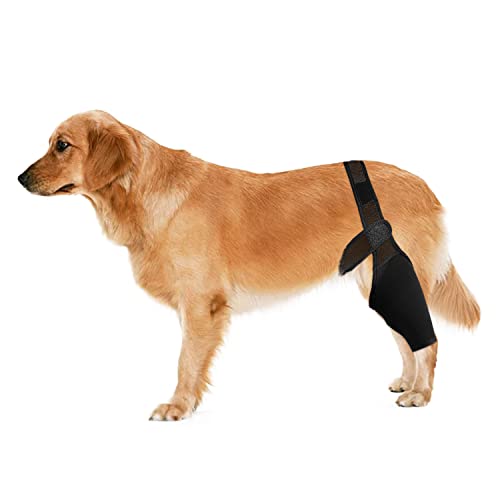 Abnaok Dog Knee Brace, Knee Brace for Dogs ACL, Knee Cap Dislocation, Arthritis, Full Wrap, Easy Adjustable, Extra Support with Reduces Pain and Inflammation