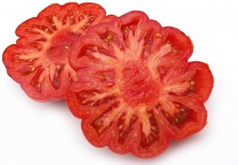 Costoluto Fiorentino Tomato - Old Tuscan Heirloom-Delicious(10 - Seeds)