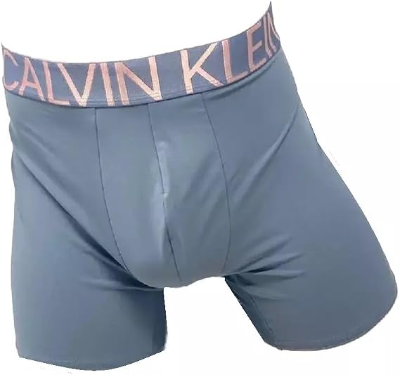 Calvin Klein Statement 1981 Microfiber Boxer Briefs (US, Alpha, Large, Regular, Regular, Gray)