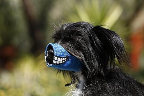 Cesar Millan Funny Muzzle, Nerd, Size 1, Blue