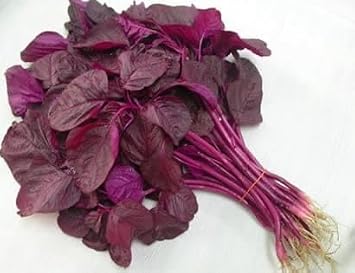 Red Spinach Seeds (Amaranth/Lal Shak) – 6 Gram | Fast-Growing Leafy Vegetable for Home Garden Aprox. 3000+ Seeds