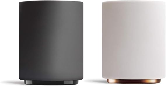 Fellow Monty Milk Art Cups - Double Wall Ceramic Latte Mug, 11 oz - Matte Black & White with Graphite & Copper Base - Set of 2