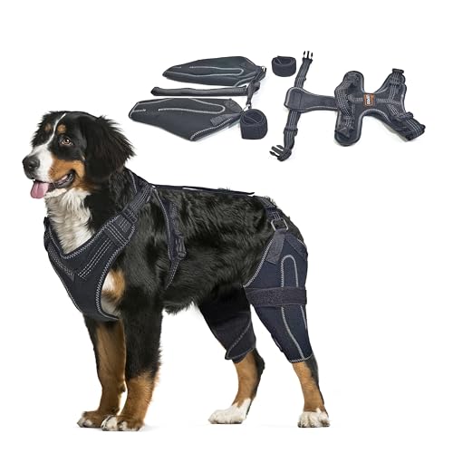 Dog ACL Knee Brace Hind Leg Support for Injured Dogs, Adjustable Dog Leg Brace for Back Leg StabilityM