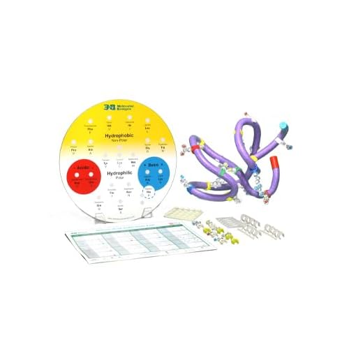 Amino Acid Starter Kit 1-Group Set