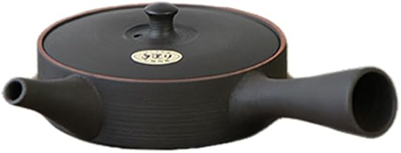 Life no Color Teapot, Tokoname Ware, Ishiryu, Flat Type, 4.2 fl oz 120 ml, Made in Japan, Stryryryu Garden, Seramesh, Ceramic Tea Strainer, Integrated Tea Strainer, Handmade