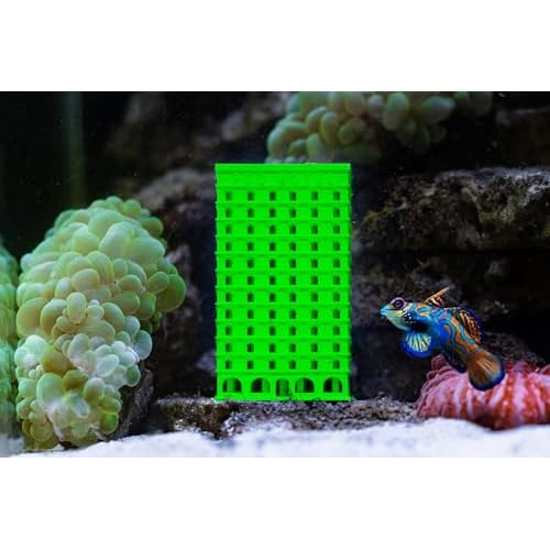 SubstrateSource Pod Hotel - 3D Printed Copepod Isopod Amphipod Breeder Box Factory for Saltwater Reef Tank Sump or Refugium, Isopod - 2x2x3.6, Green