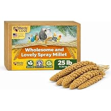Birds LOVE 25 LB Wholesome Spray Millet for Birds USA Grown, Natural Sun-Dried Millet Sprays Thick Seed-Rich Clusters for Parakeets, Budgies, Cockatiels, Conures, Finches & Parrots
