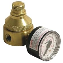 Pressure Regulator,1/4 in,0 to 125 psi