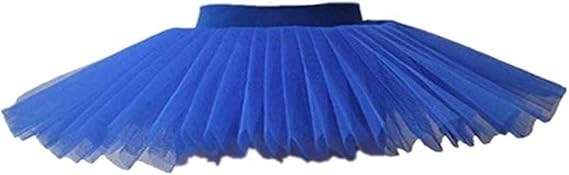 WENDYWU Women Professional Swan Ballet Tutu Skirt | Hard Organdy Platter, Performance Leotard Skirt