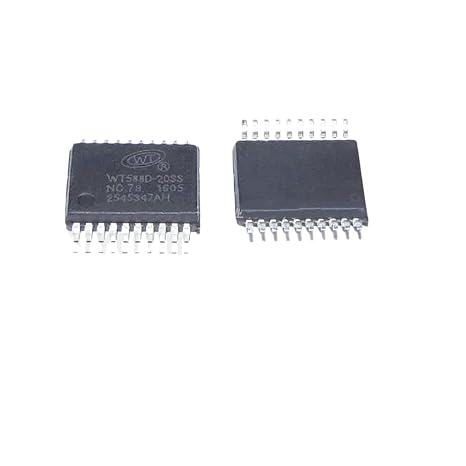 5Pcs Wt588D Wt588D-20Ss Wt5880-20Ss Ssop-20 Wt588D16-28Ss Ssop-28 Ic in Stock