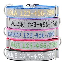 Personalized Dog Collar with Embroidered Name & Phone Number Custom Adjustable Nylon Collar for Small Medium Large Dogs Reflective Pet Collar with Quick Release Buckle
