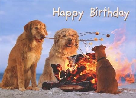 S'More Dogs - Avanti Stand Out Pop Up Birthday Card