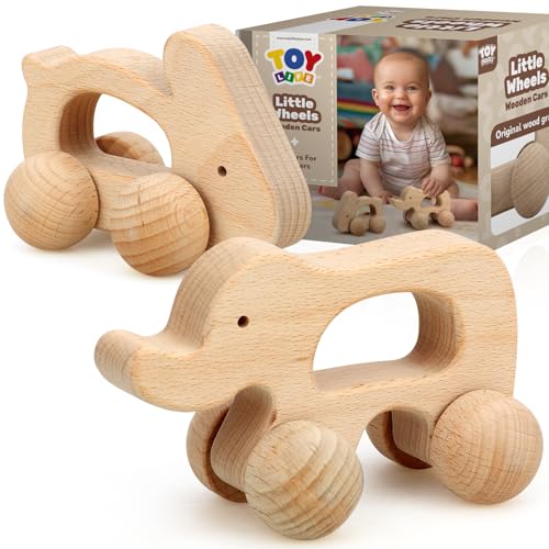 TOY Life Wooden Toys Cars, Montessori Baby Toys 6-12 Months, Wooden Baby Toys Rattle Cars for Toddlers 1-3, Baby Boy Nursery Decor, Montessori Toys for 1 Year Old Boy Animal Set