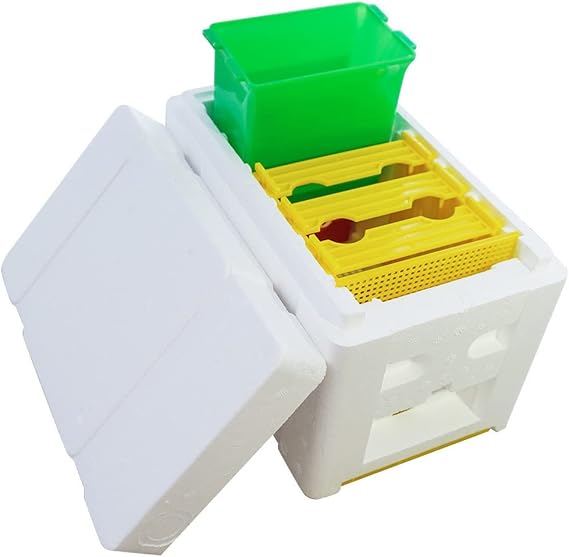 Queen Mini Bee Mating Nuc Box Queen Bee Breeding Box Pollination Box Foam Frames Beekeeping Tool Beekeeping Equipment Mating Nucs Hive Beekeeper Supplies