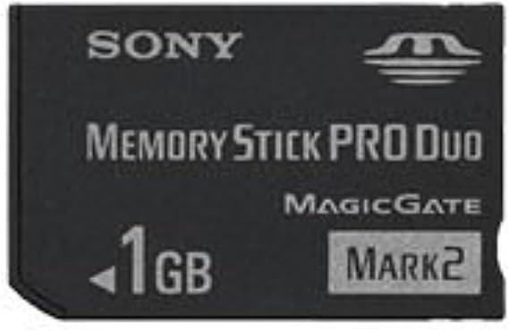 Sony 1 GB Memory Stick PRO Duo Flash Memory Card MSMT1G