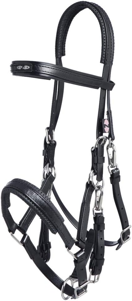 Marathon Endurance Bridle