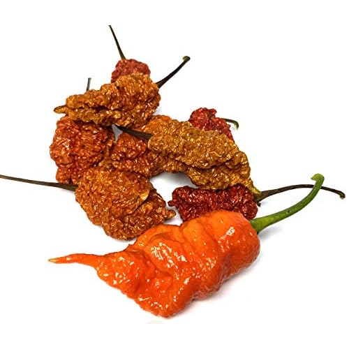 Death Spiral Ultra Hot Pepper Dried Whole Pods 5 Pack