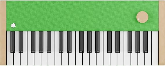 Loog digital piano - portable keyboard for beginners with musician grade sound, MIDI over USB-C rechargeable musical educational instrument (Loog x duolingo piano)