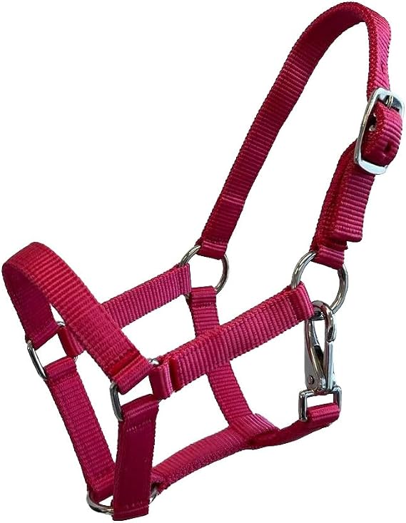 Nylon Foal Halter
