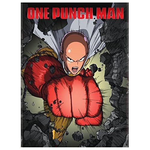 One - Punch Man Standard Edition (DVD)