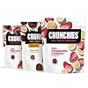Crunchies Freeze-Dried Chocolate Covered Fruits - 100% All Natural Crispy Fruit Dipped in Premium Milk Chocolate, Non GMO, Kosher Strawberries, 5 Ounce Pack of 6