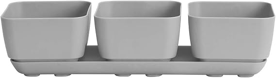 Novelty 10010 Herb & Succulent Trio Planter, Gray