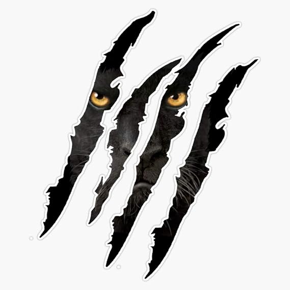 Leyland Designs Black Panther Claw with Yellow Eyes Sticker Outdoor Rated Vinyl Sticker Decal for Windows, Bumpers, Laptops or Crafts 5