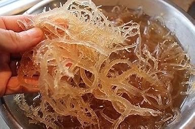 NATURAL,SEA MOSS (RAW) 8 0Z - IRISH MOSS ,CHONDRUS CRISPUS,Jamaica Drink Below
