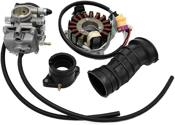 30mm Carburetor Compatible With JS250 250cc ATV Quad F15-720000-0 With Intake And Hose Stator Magneto