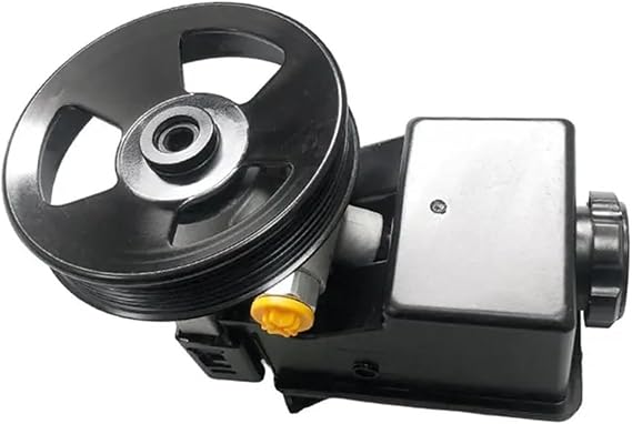 Compatible For Ssangyong Actyon Kyron Rexton Rodius Auto Parts- Power Steering Pump 6654601980 Replacement Unit