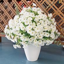 18PCS Artificial Spring White Flowers for Indoor Outdoor Planters Faux Daisy Fake Little Flowers UV Resistant for Porch Terrace Yard Home Party Decoration