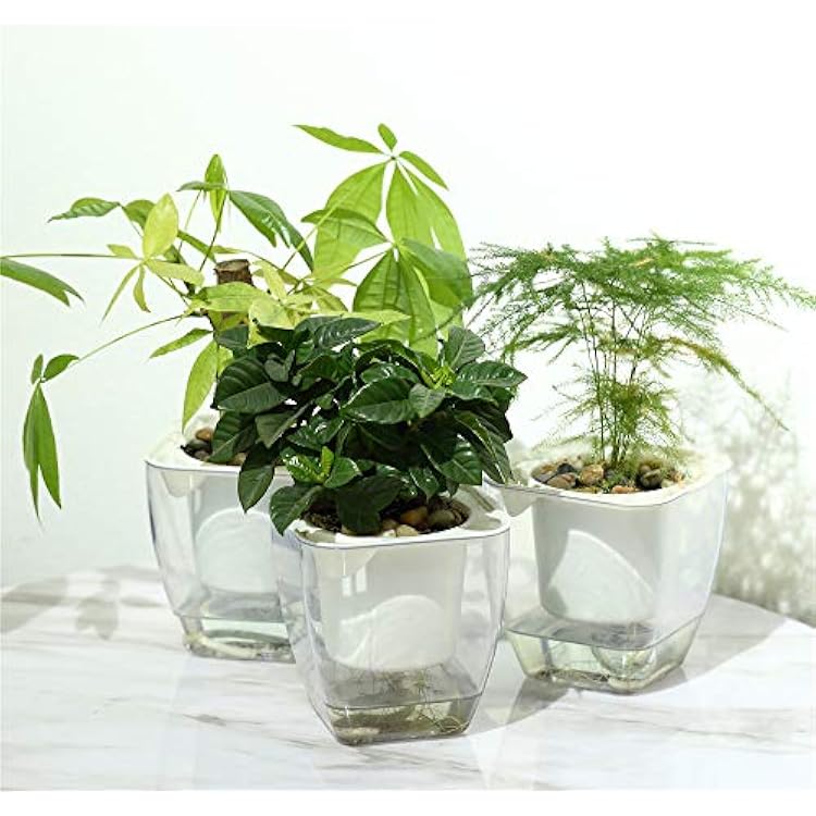 Self Watering Planter , FENGZHITAO African Violet Pots, Clear Plastic Automatic-Watering Planter Flower Pot Square Plant Pot for All House Plants, Succulents, Herb, African Violets 3 Packs Small