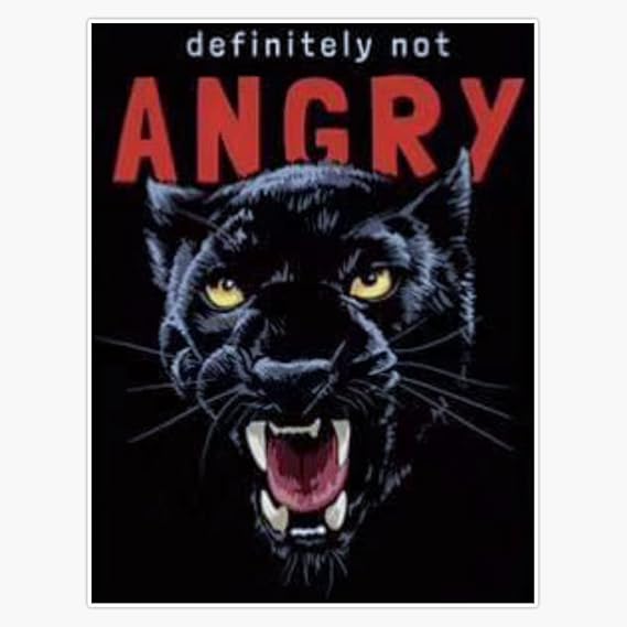 Magnet Definitely Not Angry Magnetic Vinyl Sticker 5"
