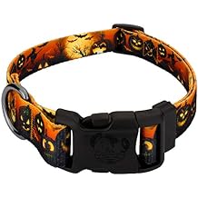 Country Brook Petz - Gunmetal Midnight Fright Everyday Dog Collar - Made in The U.S.A. - Halloween Collection Featuring Spooky Designs (5/8 Inch, Small)