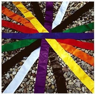Proforce Kung Fu Sash - Nylon - Purple