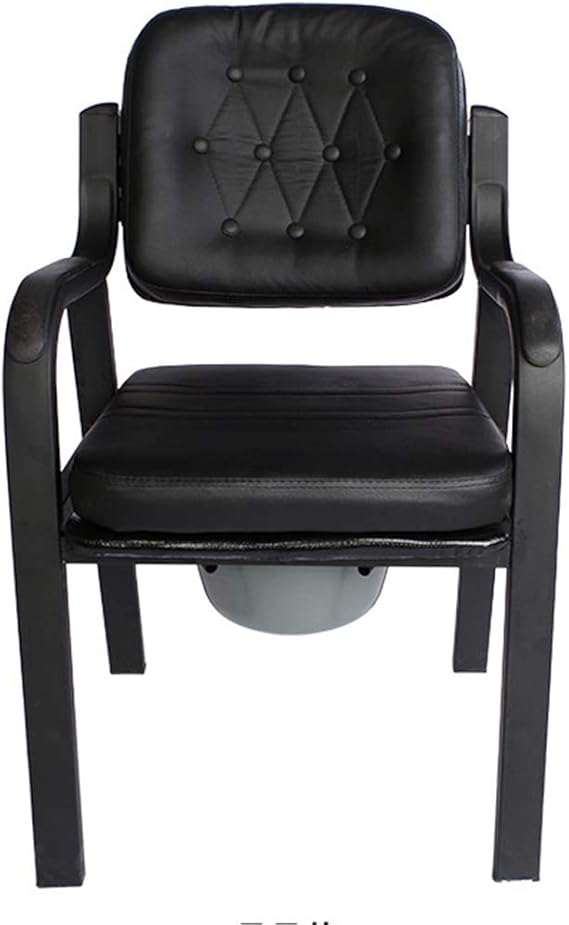 Dyale Deluxe Comfort Commode with Padded Seat Heavy Duty Bedside Commode Chair,Elderly Bathroom Safety Frame Toilet Seat