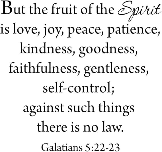 But the Fruit of the Spirit Wall Decal Galatians 5:22-23 Love Joy Peace Patience Kindness Goodness Faithfulness Gentleness Self Control Bible Wall Art Stickers Scripture Faith VWAQ-562