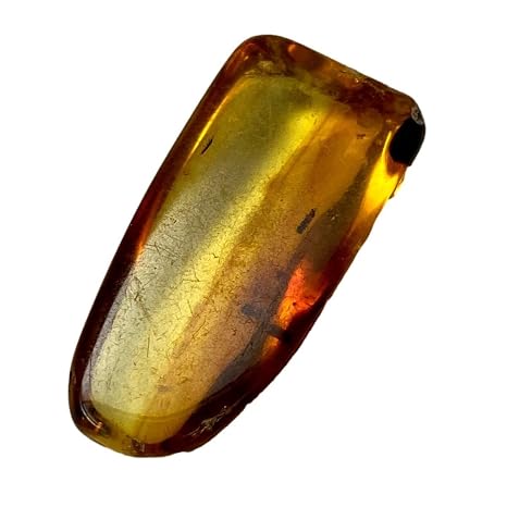 Genuine Fossil Amber Specimen with Insect Inclusions - 15/16" x 1/2" - #21 - Gift Packaged