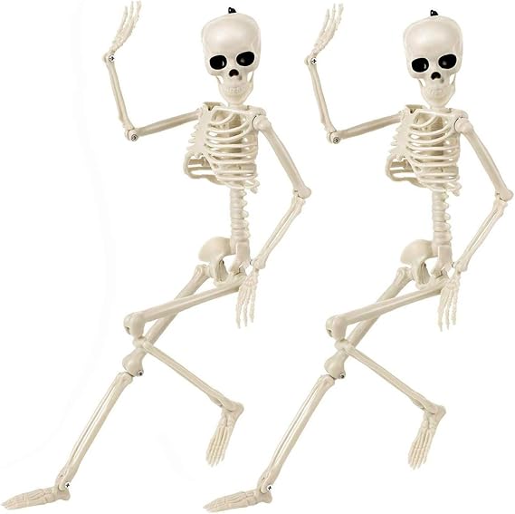 Halloween Indoor Skeletons Decorations 15'' Life Size Full Body Posable Joints Small Skeletons Halloween Decor 2 Pack