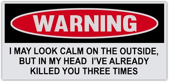 Funny Warning Bumper Sticker Decal - Look Calm Outside, in Head Already Killed You Three Times - 6" by 3"