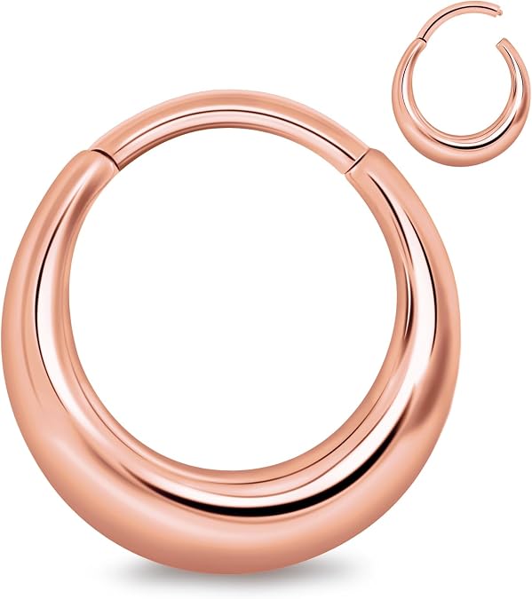 16G Septum Rings Daith Earrings Hinged 316L Stainless Steel Nose Rings Hoops Septum Piercing Jewelry Clicker Rings Cartilage for Men Women 8mm 10mm