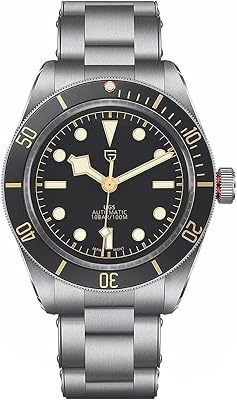 HaiQin Pagani Design 1671 V2 Automatic Watches for Men Japan Movement Stainless Steel Band 100M Waterproof Fashion Dress Self Winding Wrist Watch