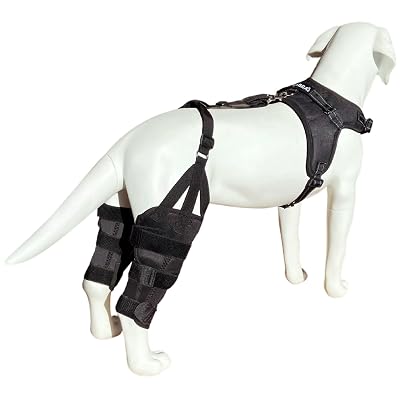 Labra Dog Canine Dual Knee Stifle Brace Wrap, Double Metal Splint Hinged Flexible Support Brace for K9 ACL, CCL, Luxating Patella, Cruciate Ligament Sprains in Back, Rear, Hind Legs - Extra Large