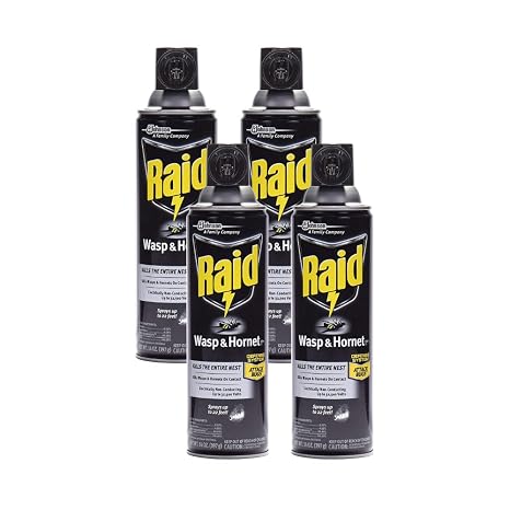 Raid Wasp Hornet Killer Spray Variation (14 Ounce (Pack of 4))