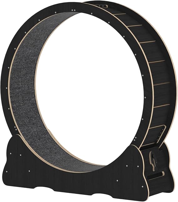 41"/46" Cat Exercise Wheel for Indoor Cats, Low Noise Cat Treadmill with Locking Mechanism, Carpeted Runway, and Teasing Toy Black-L
