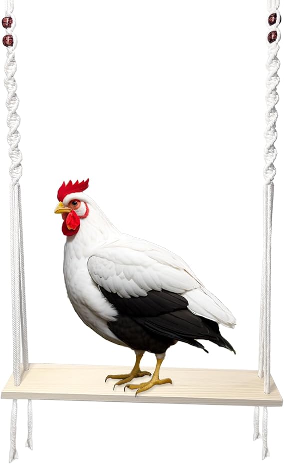 Chicken Swing Toy for Large Chicken Coop Accessories | Chicken Enrichment Toy for Hens and Roosters, Natural Wooden Handmade Chicken Swing, Gift for Chicken Owners and Lovers