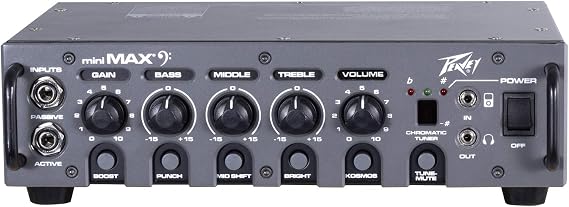 Peavey MiniMAX 600-Watt Mini Bass Amp Head
